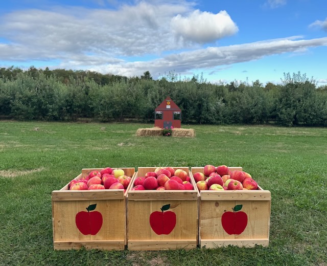 apple boxes with a wooden building in the background