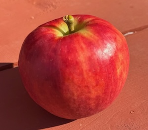red ruben apple